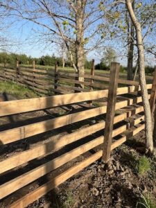 A wide outdoor shot highlights a freshly built wooden fence made of four parallel horizontal rails attached to vertical posts. The light brown, unpainted wood fence runs along a tilled patch of dark soil in the foreground before curving off into the distance along an open grassy area. Several mature trees with sparse leaves stand right next to and behind the fence structure, casting soft shadows across the rails. In the far background, a dense treeline meets a clear, pale blue sky.