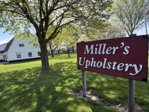 A bright daytime shot of a large burgundy sign on wooden posts that reads "Miller's Upholstery" in white cursive lettering. The sign sits in the foreground on a lush green lawn shaded by a mature tree with fresh spring leaves. In the left background, a large two-story white barn with a dark roof and small square windows is visible. The manicured grass property stretches back toward a line of flowering trees under a clear, bright sky.