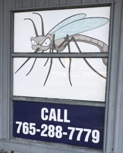 A large window sign on a building features a cartoon illustration of an angry mosquito with large eyes and a curved stinger on a white background. Directly beneath it, a separate dark blue window pane displays the text "CALL 765-288-7779" in bold white lettering.