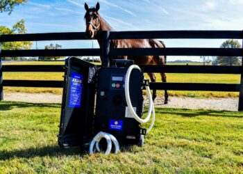 An eye-level shot of an equine therapeutic device, designed as a black portable hard case with white hoses, resting upright on a green grass lawn. The inside lid of the open case features a blue label with text reading "JULIAN." In the background, a brown horse wearing a halter stands behind a black three-rail wooden fence in a sunny paddock. The green pasture stretches toward a horizon lined with trees under a bright blue sky with light clouds.