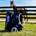 An eye-level shot of an equine therapeutic device, designed as a black portable hard case with white hoses, resting upright on a green grass lawn. The inside lid of the open case features a blue label with text reading "JULIAN." In the background, a brown horse wearing a halter stands behind a black three-rail wooden fence in a sunny paddock. The green pasture stretches toward a horizon lined with trees under a bright blue sky with light clouds.