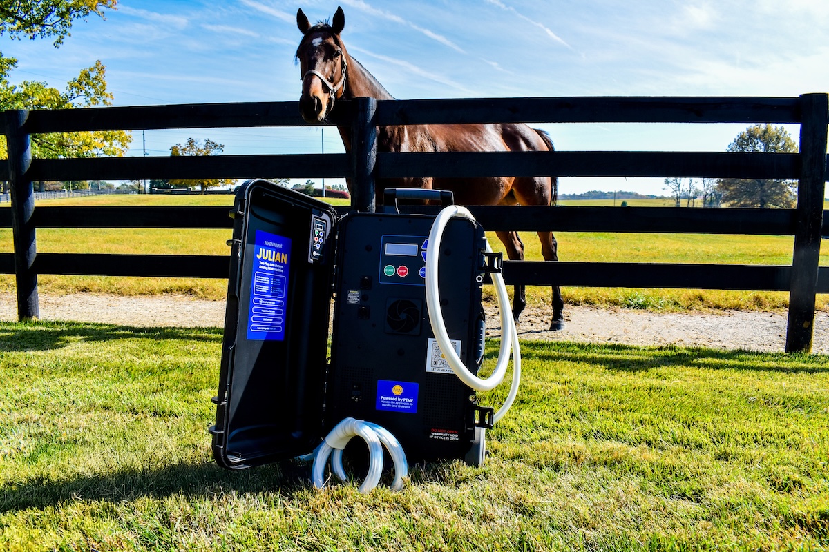 An eye-level shot of an equine therapeutic device, designed as a black portable hard case with white hoses, resting upright on a green grass lawn. The inside lid of the open case features a blue label with text reading "JULIAN." In the background, a brown horse wearing a halter stands behind a black three-rail wooden fence in a sunny paddock. The green pasture stretches toward a horizon lined with trees under a bright blue sky with light clouds.