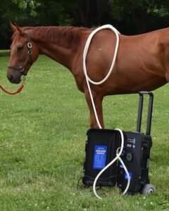 A side profile shot of a chestnut horse wearing a leather halter, standing calmly in a green grassy field. A thick, white therapeutic hose loops over the horse's back behind its shoulder. The hose connects directly to an upright, black rolling hard-case therapy machine sitting on the grass. The open lid of the machine features a blue informational label with text. Dark green trees blur softly in the background under natural daylight.