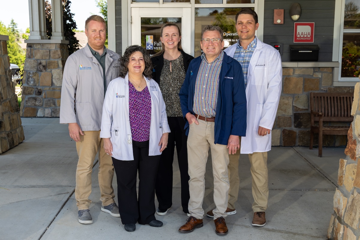 Five medical professionals pose together outside the entrance of Fall Creek Veterinary Medical Center. Two women and three men stand in a group on a concrete walkway in front of glass entry doors. The staff members are dressed in business casual attire, medical lab coats, and clinic jackets embroidered with the company logo. An AAHA Accredited sign is visible on the stone and siding exterior wall to the right.