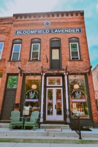 The historic, two-story red brick storefront of Bloomfield Lavender. A black and white sign near the roof reads "Bloomfield Lavender." The ground floor features large display windows labeled "Bloomfield Lavender Apothecary" flanked by two green Adirondack chairs on the left sidewalk.