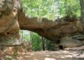 A wide, eye-level outdoor photograph captures a large, natural sandstone arch bridge formation in a dense forest. The massive rock structure forms a wide overhead clearance, with a sandy dirt path winding directly underneath it. Sunlight filters down through a thick canopy of vibrant green deciduous and evergreen trees, illuminating patches of the weathered rock surfaces and the dirt trail below.