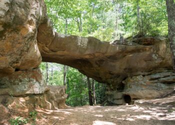 A wide, eye-level outdoor photograph captures a large, natural sandstone arch bridge formation in a dense forest. The massive rock structure forms a wide overhead clearance, with a sandy dirt path winding directly underneath it. Sunlight filters down through a thick canopy of vibrant green deciduous and evergreen trees, illuminating patches of the weathered rock surfaces and the dirt trail below.
