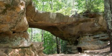 A wide, eye-level outdoor photograph captures a large, natural sandstone arch bridge formation in a dense forest. The massive rock structure forms a wide overhead clearance, with a sandy dirt path winding directly underneath it. Sunlight filters down through a thick canopy of vibrant green deciduous and evergreen trees, illuminating patches of the weathered rock surfaces and the dirt trail below.