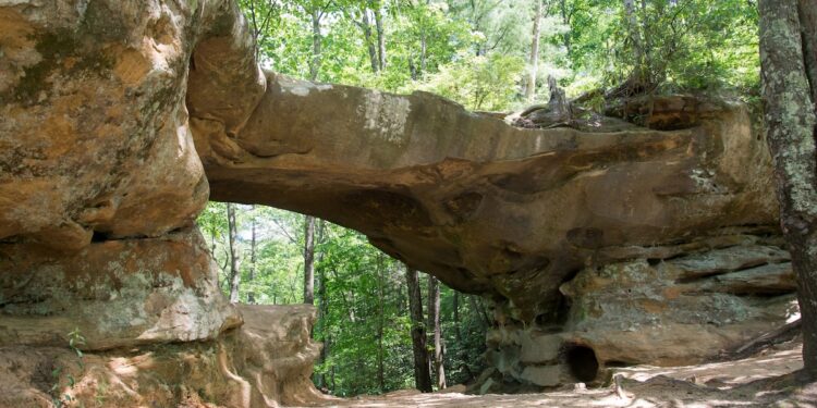 A wide, eye-level outdoor photograph captures a large, natural sandstone arch bridge formation in a dense forest. The massive rock structure forms a wide overhead clearance, with a sandy dirt path winding directly underneath it. Sunlight filters down through a thick canopy of vibrant green deciduous and evergreen trees, illuminating patches of the weathered rock surfaces and the dirt trail below.