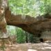 A wide, eye-level outdoor photograph captures a large, natural sandstone arch bridge formation in a dense forest. The massive rock structure forms a wide overhead clearance, with a sandy dirt path winding directly underneath it. Sunlight filters down through a thick canopy of vibrant green deciduous and evergreen trees, illuminating patches of the weathered rock surfaces and the dirt trail below.