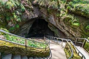 A high-angle, outdoor photograph captures the paved Historic Entrance of Mammoth Cave in Kentucky. Modern concrete staircases with black metal safety handrails descend sharply from the left foreground down into a massive, dark limestone cave mouth. The steep rock banks surrounding the cavern opening are heavily blanketed in vibrant green moss, ferns, and dense undergrowth under a bright, filtered forest light.