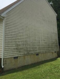 The exterior side wall of a two-story residential house with light yellow vinyl siding. Dark green mold, algae, and mildew stains heavily cover the lower and middle sections of the siding and the concrete foundation wall below i