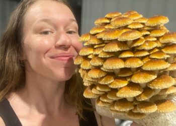 A close-up, indoor shot of a smiling woman standing side-by-side with a massive, dome-shaped cluster of cultivated mushrooms. The woman has long brown hair and is wearing a black tank top. Next to her face, she holds a large fruiting block covered in dozens of overlapping chestnut mushrooms (Pholiota adiposa). The mushrooms feature bright golden-brown, rounded caps speckled with small white textured scales. The background is softly blurred with neutral gray tones.