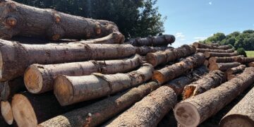 The Right Lumber Creekside Saw Mill