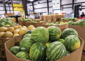 Dare to Care Is Fighting Hunger Across the Kentuckiana Community
